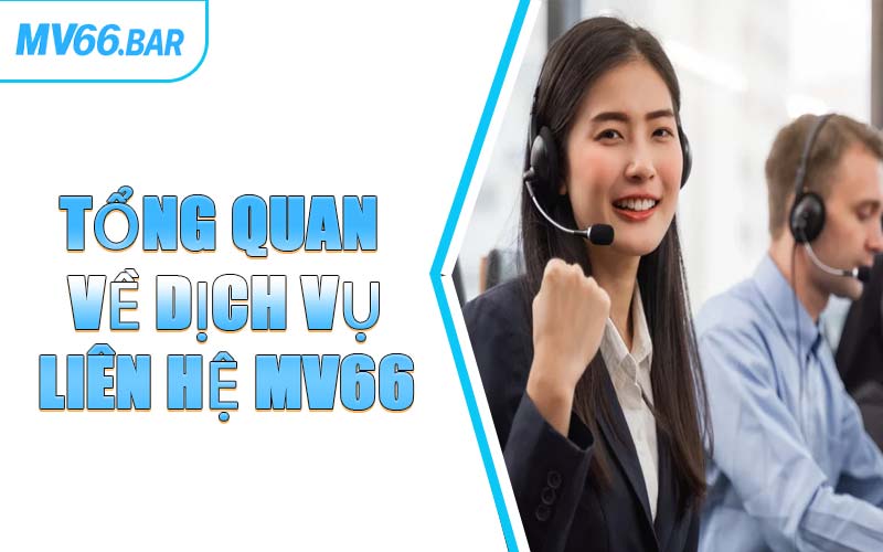 Tổng Quan Về Dịch Vụ Liên Hệ MV66
