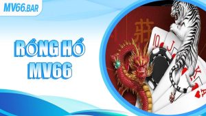 Rồng Hổ MV66