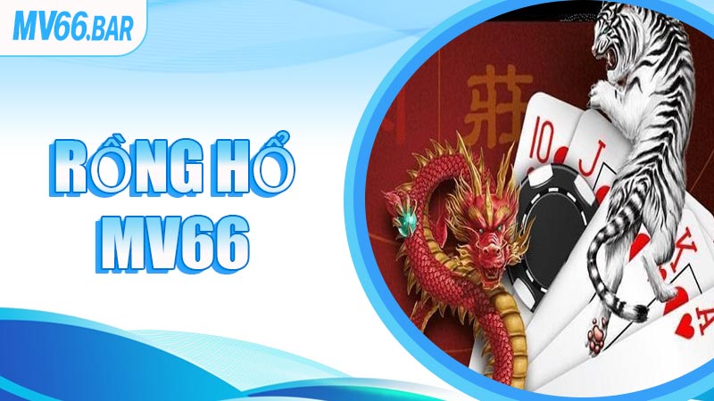 Rồng Hổ MV66