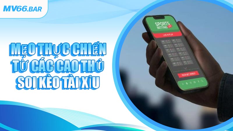 Mẹo thực chiến từ các cao thủ soi kèo Tài Xỉu