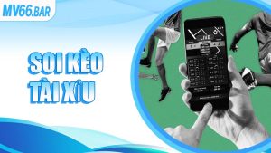 Soi Kèo Tài Xỉu