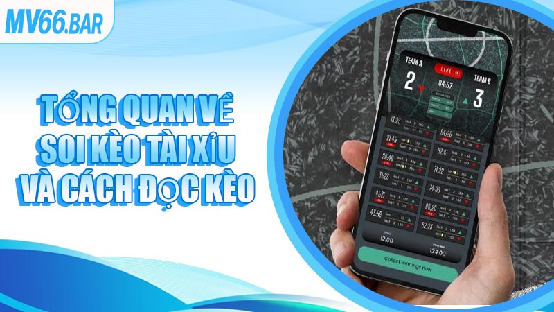 Tổng quan về soi kèo Tài Xỉu và cách đọc kèo