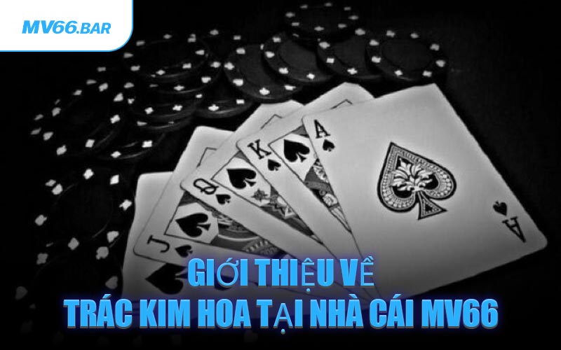 Giới Thiệu Về Trác Kim Hoa Tại Nhà Cái MV66